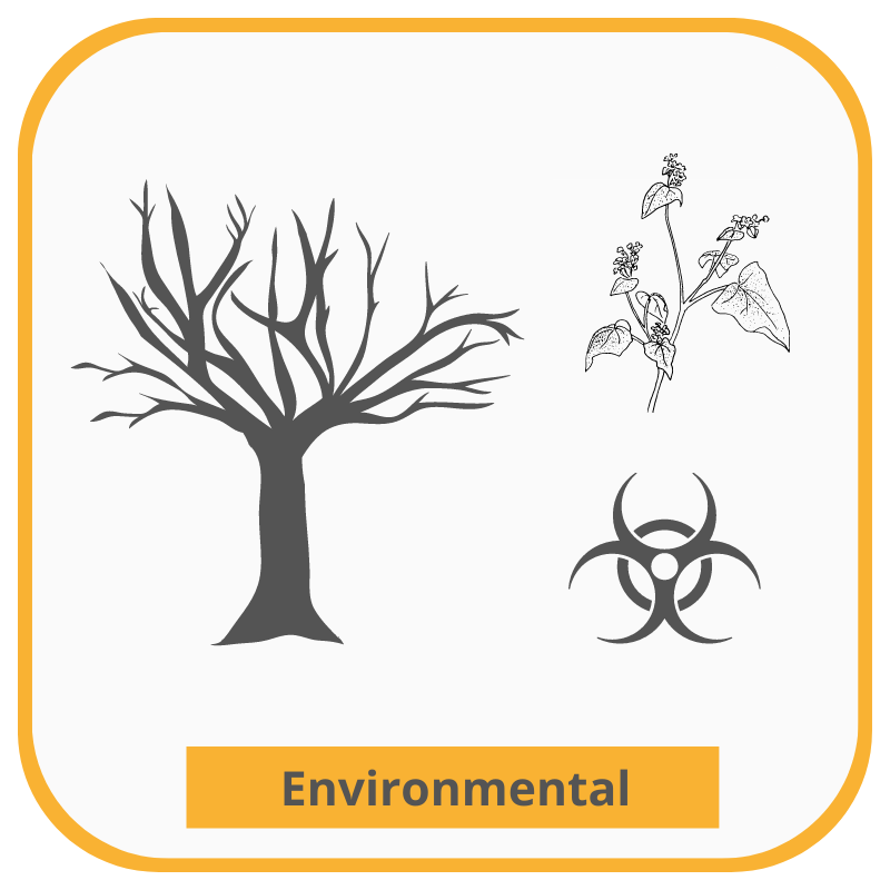 WhenFresh Residential Property Data Environmental