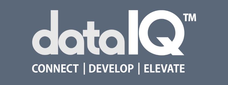 DataIQ Logo